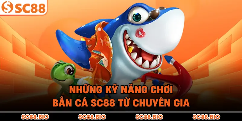 Những kỹ năng chơi bắn cá SC88 từ chuyên gia